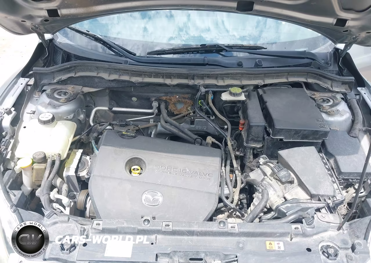 2010 Mazda Mazda3 I Touring VIN:JM1BL1SFXA1214481 - 10