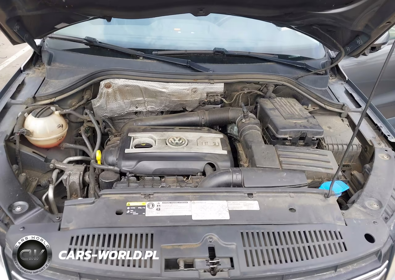 2017 Volkswagen Tiguan 2.0T-2.0T S VIN:WVGAV7AX0HK029360 - 10