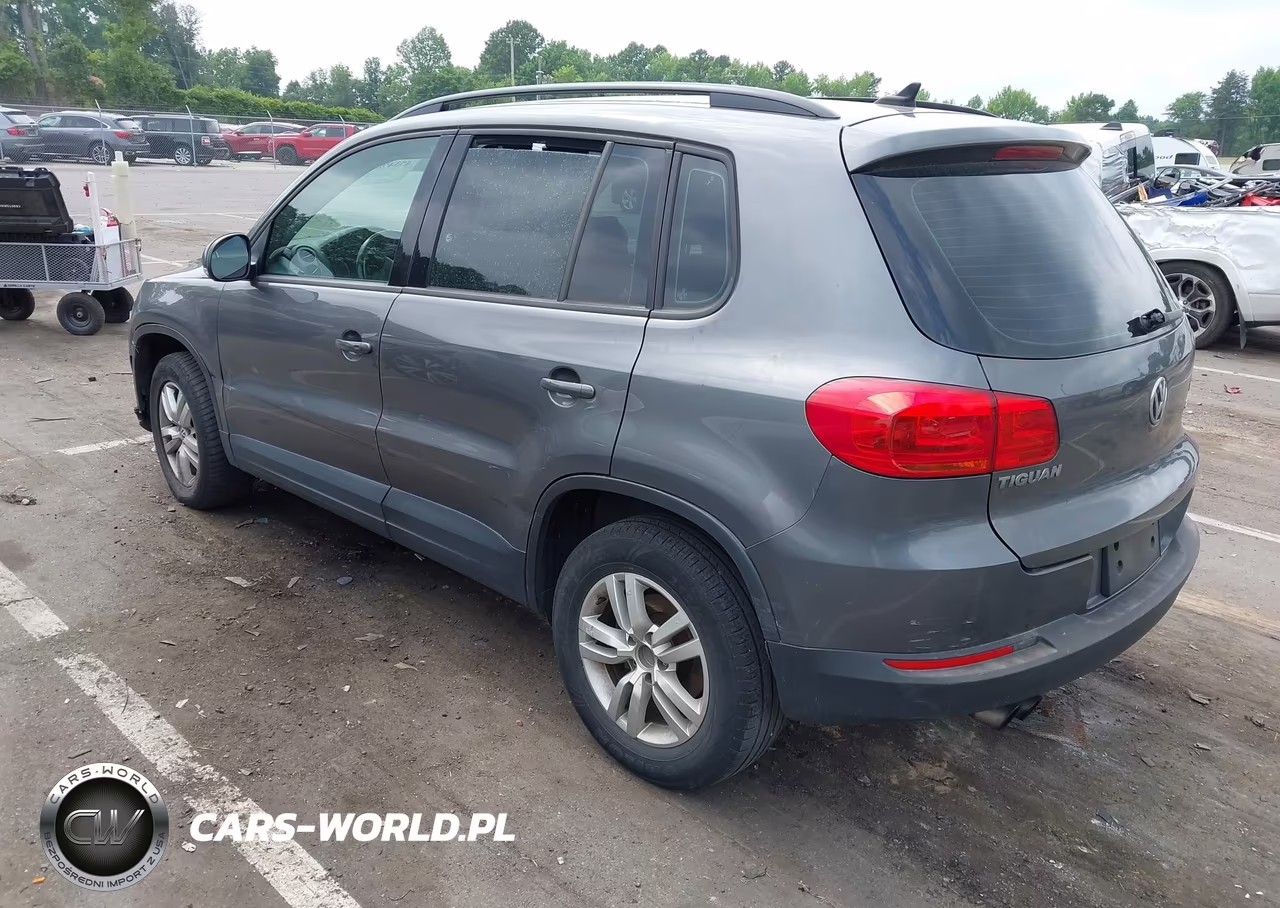 2017 Volkswagen Tiguan 2.0T-2.0T S VIN:WVGAV7AX0HK029360 - 3