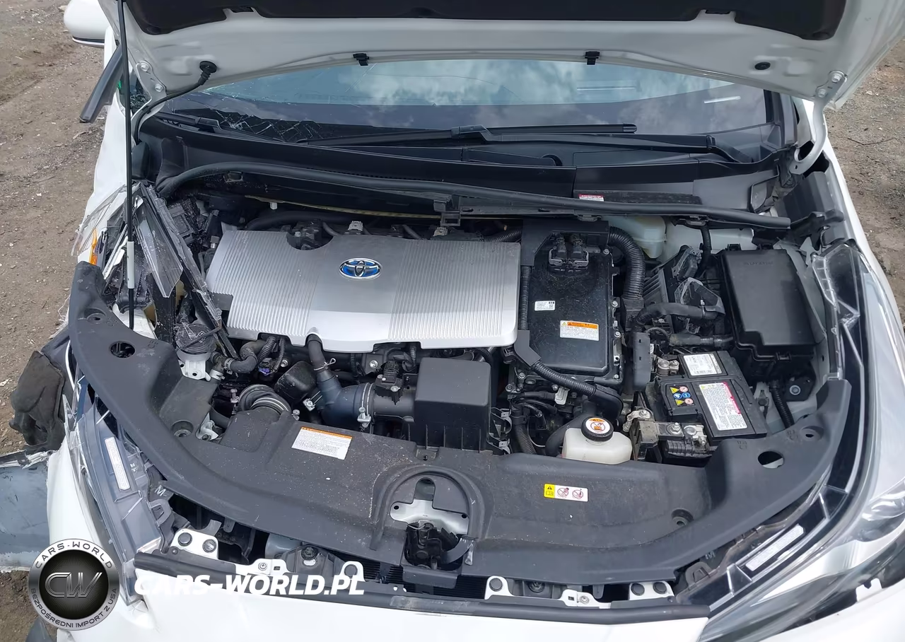 2019 Toyota Prius Xle VIN:JTDL9RFU9K3001750 - 10