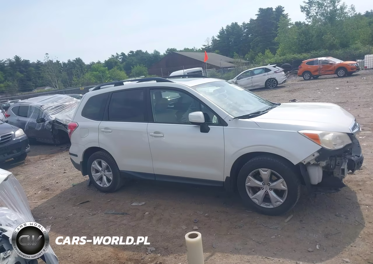 2014 Subaru Forester 2.5I Premium VIN:JF2SJAEC3EH402281 - 13