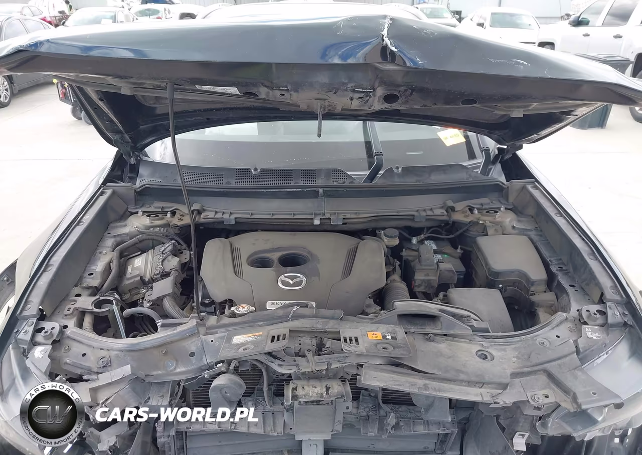 2021 Mazda Cx-9 Grand Touring VIN:JM3TCBDY4M0538097 - 10