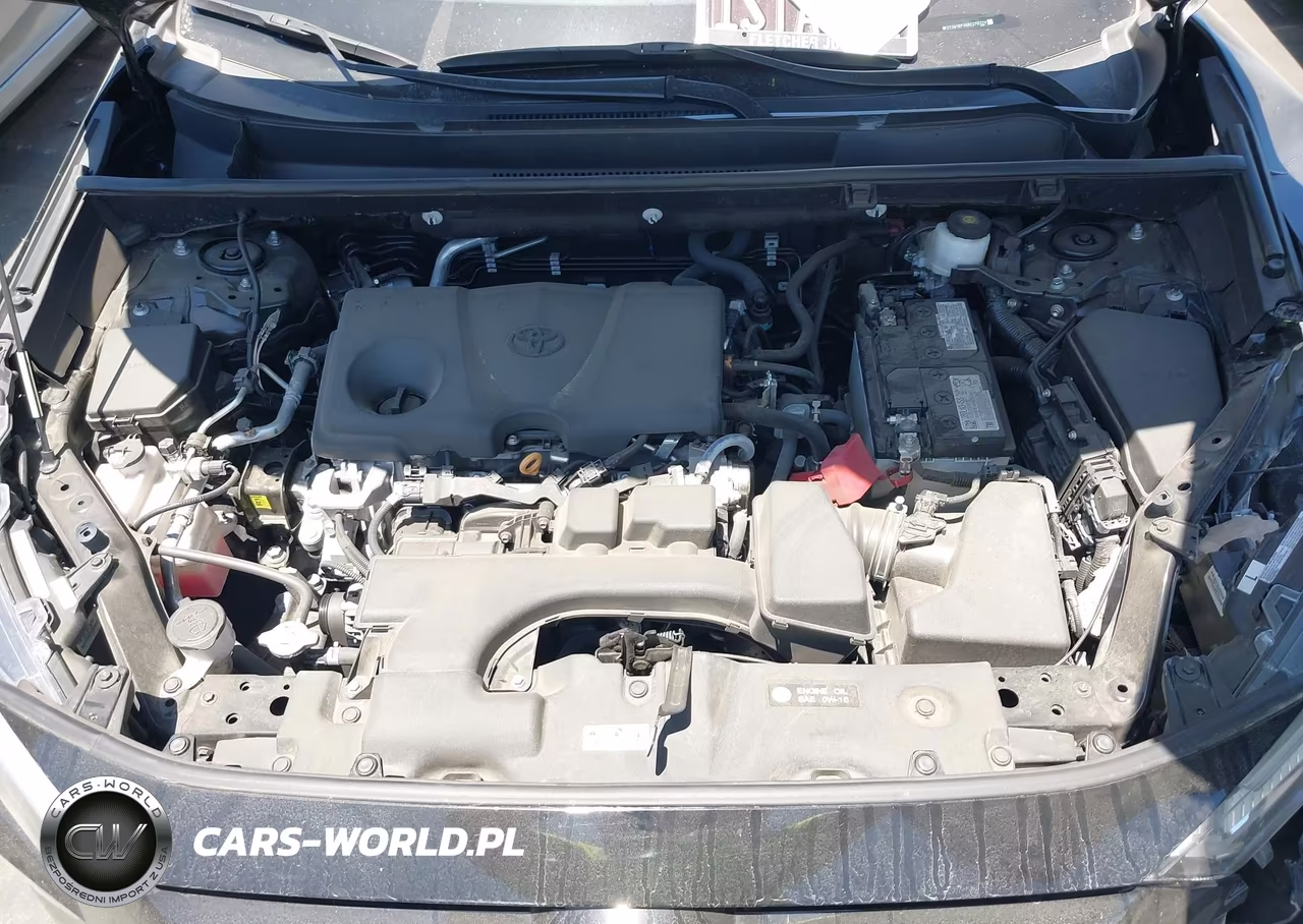 2024 Toyota Rav4 Xle VIN:2T3W1RFV6RC276224 - 10