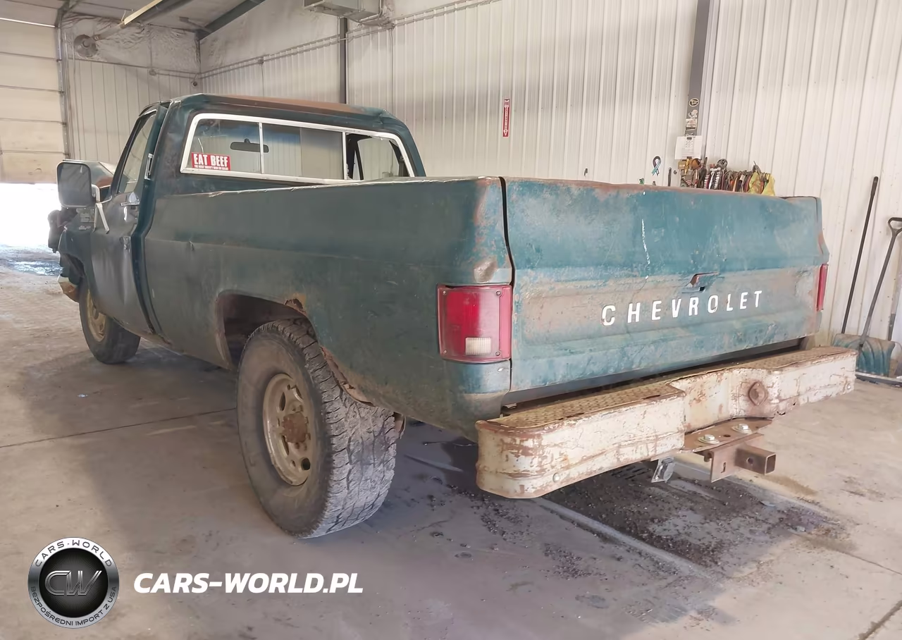 1979 Chev C20 Fleetside VIN:CCD249J179579 - 3