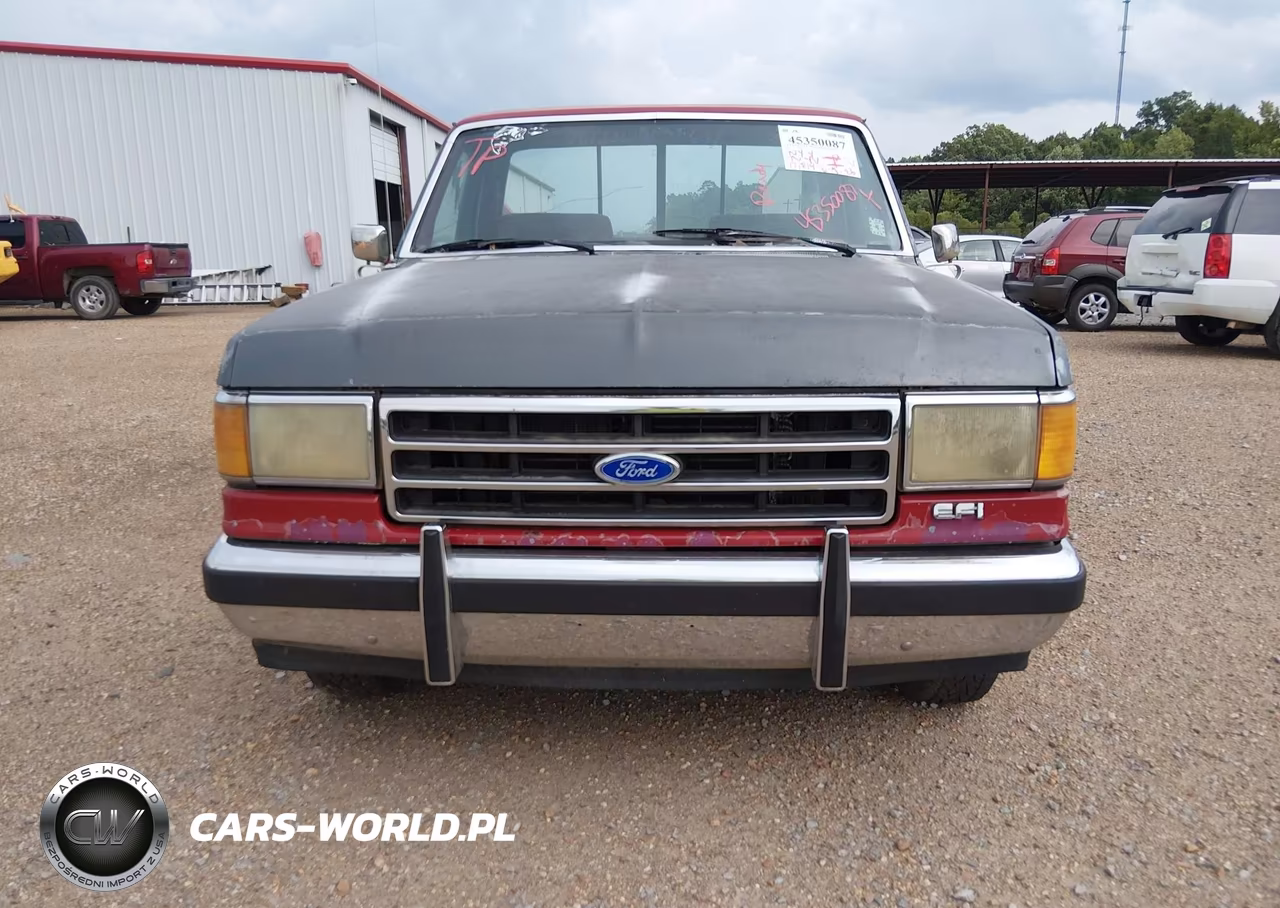 1990 Ford F150 VIN:1FTDF15NXLNA48154 - 6