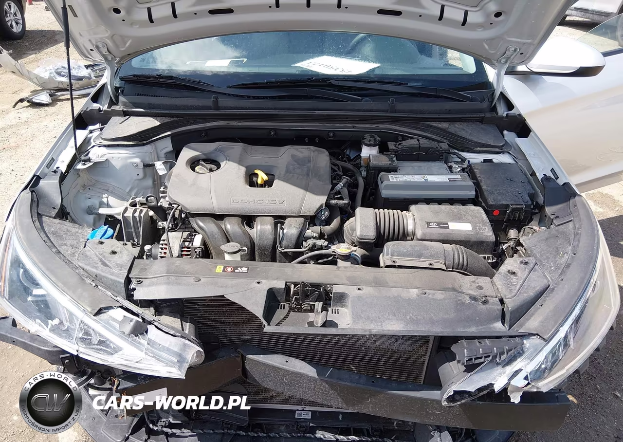 2019 Hyundai Elantra Se VIN:5NPD74LF7KH488065 - 10