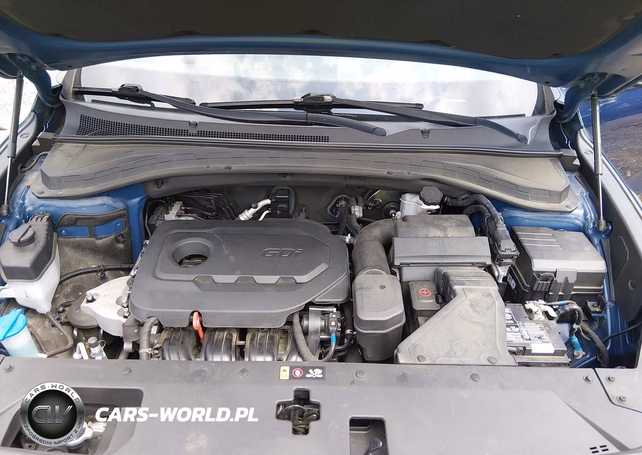 2019 Hyundai Santa Fe Se VIN:5NMS2CAD8KH120900 - 10