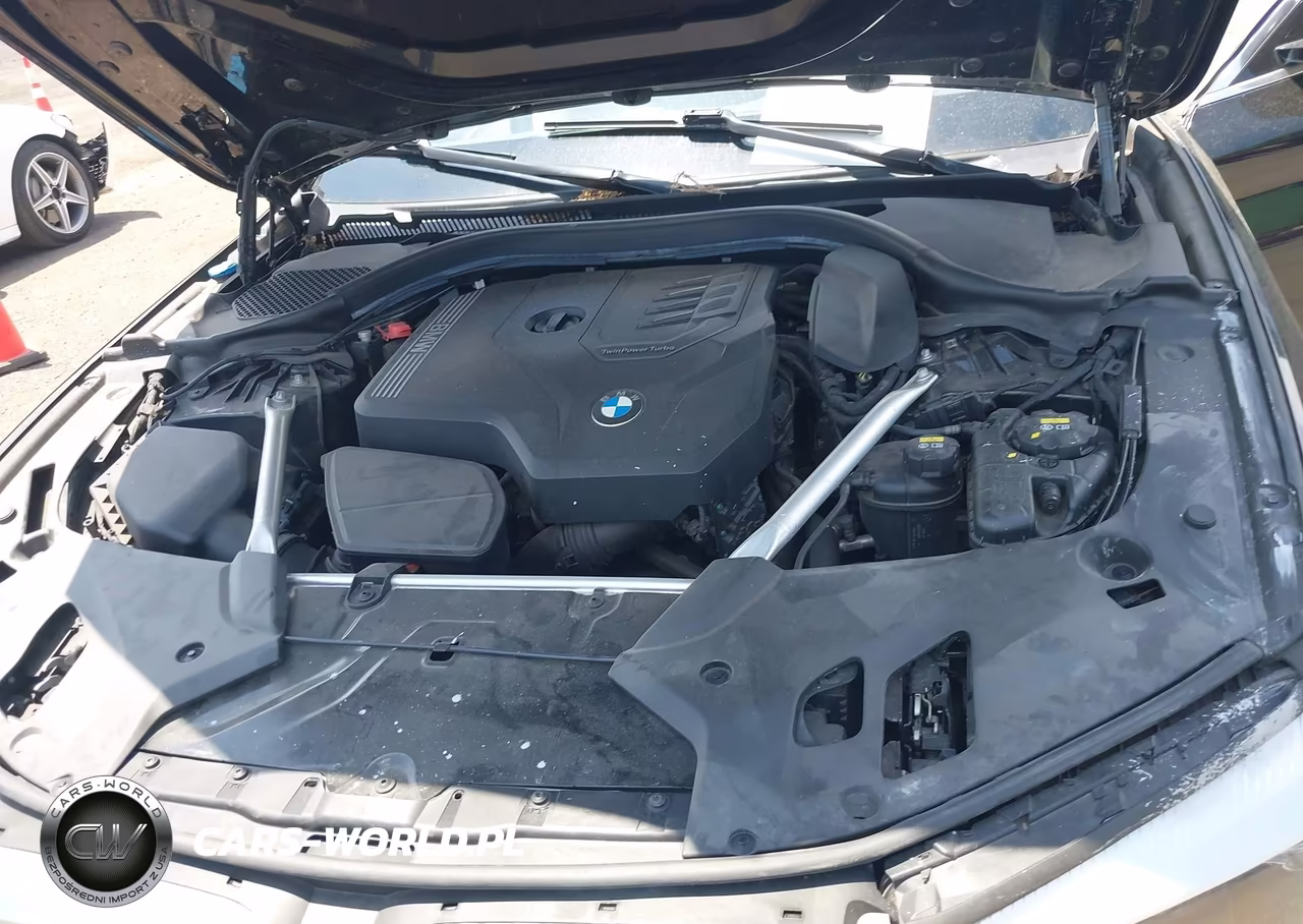 2020 BMW 530I VIN:WBAJR3C07LWW69226 - 10