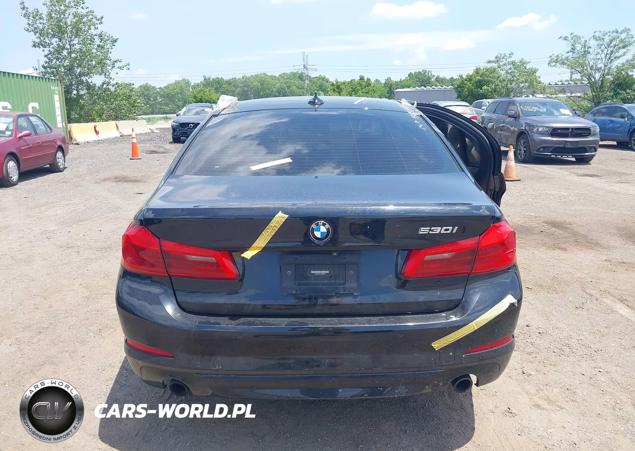 2020 BMW 530I VIN:WBAJR3C07LWW69226 - 16
