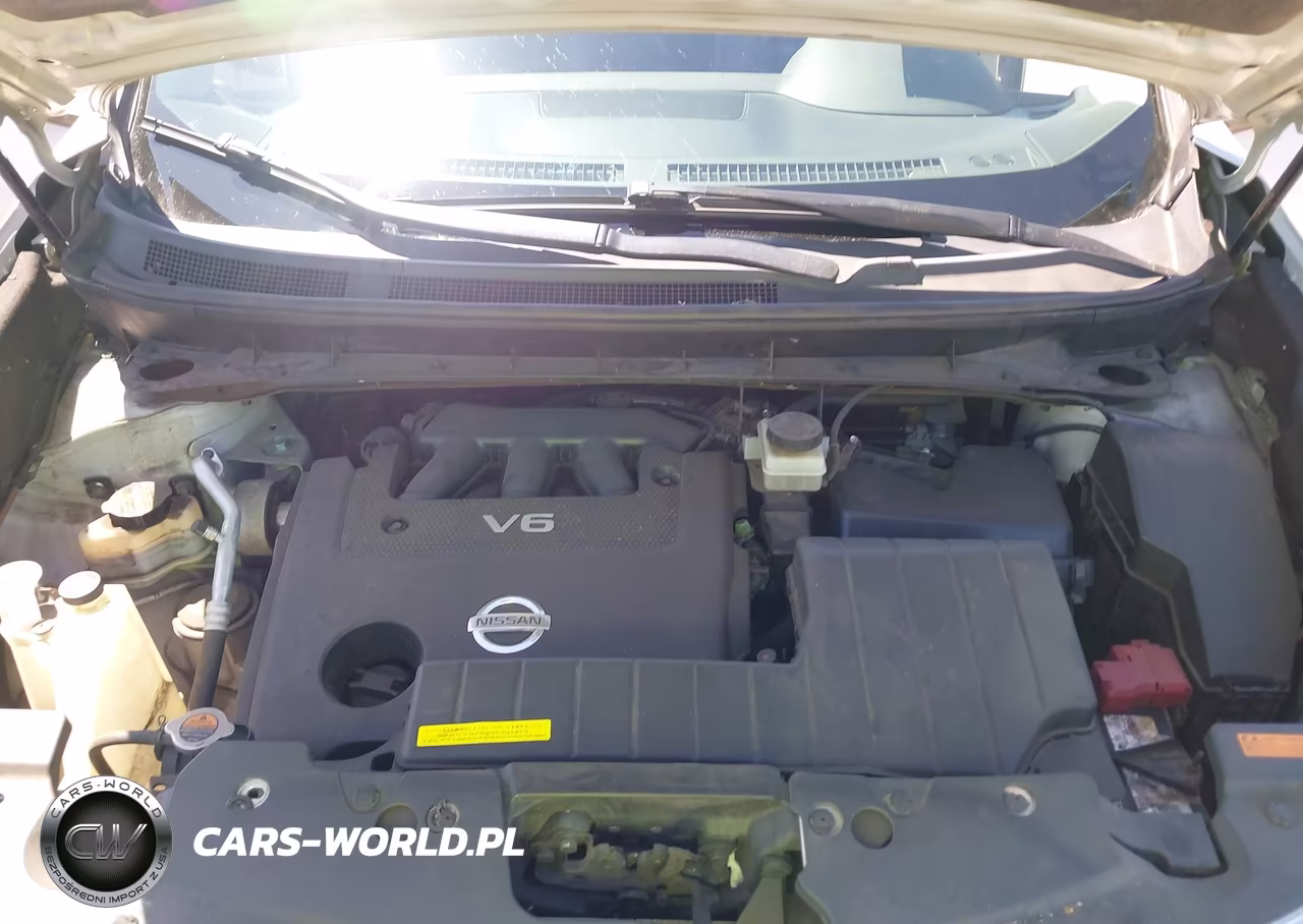 2011 Nissan Murano Le VIN:JN8AZ1MW9BW175186 - 10
