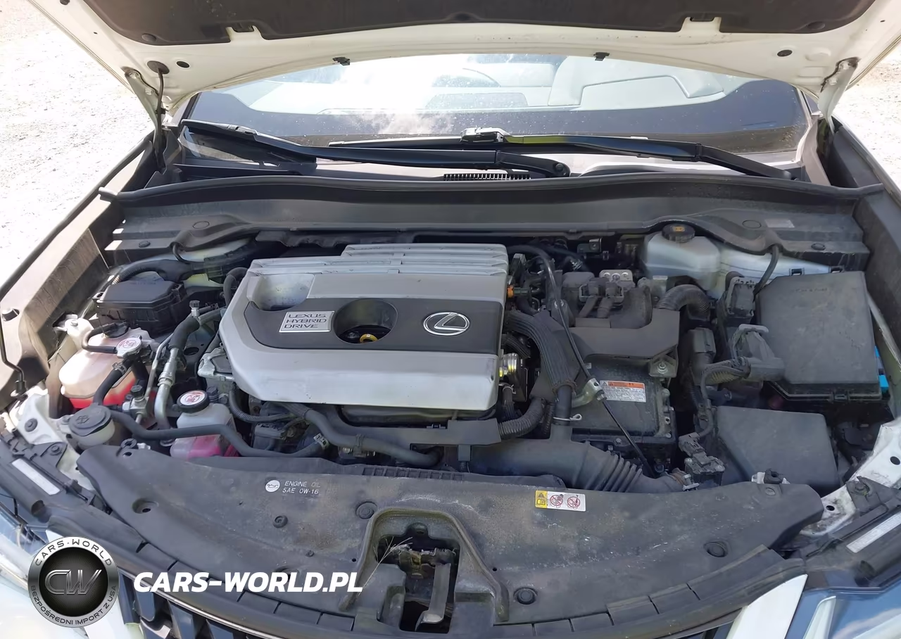 2020 Lexus Ux 250H VIN:JTHP9JBH7L2021402 - 10