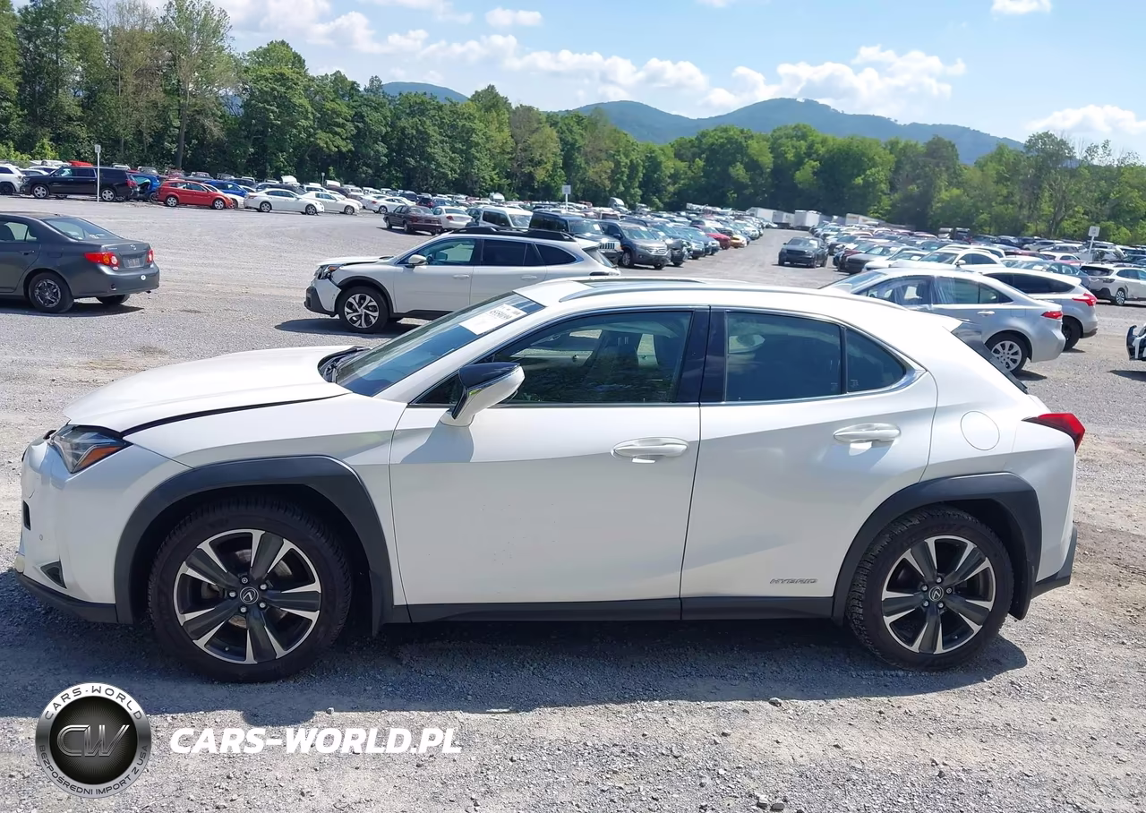 2020 Lexus Ux 250H VIN:JTHP9JBH7L2021402 - 15
