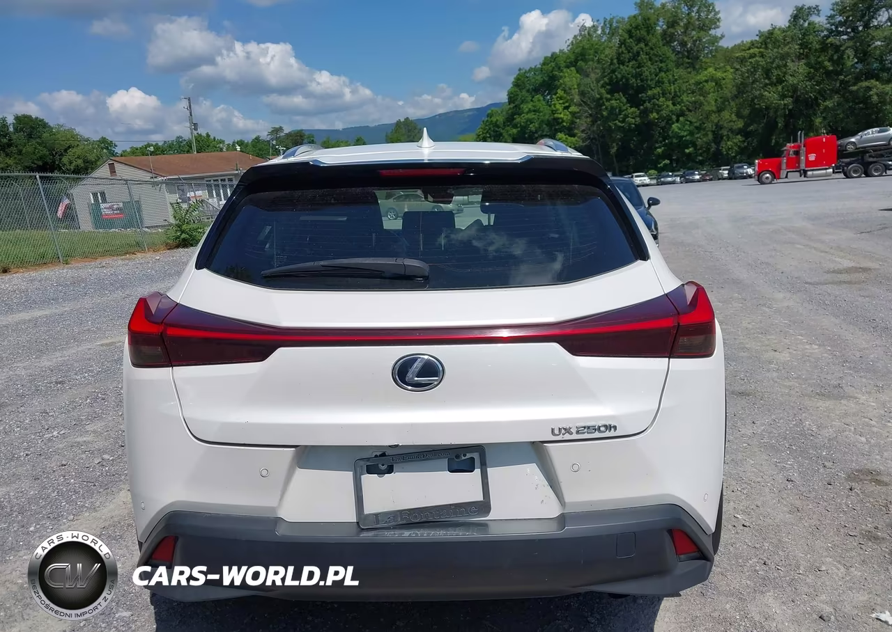 2020 Lexus Ux 250H VIN:JTHP9JBH7L2021402 - 17