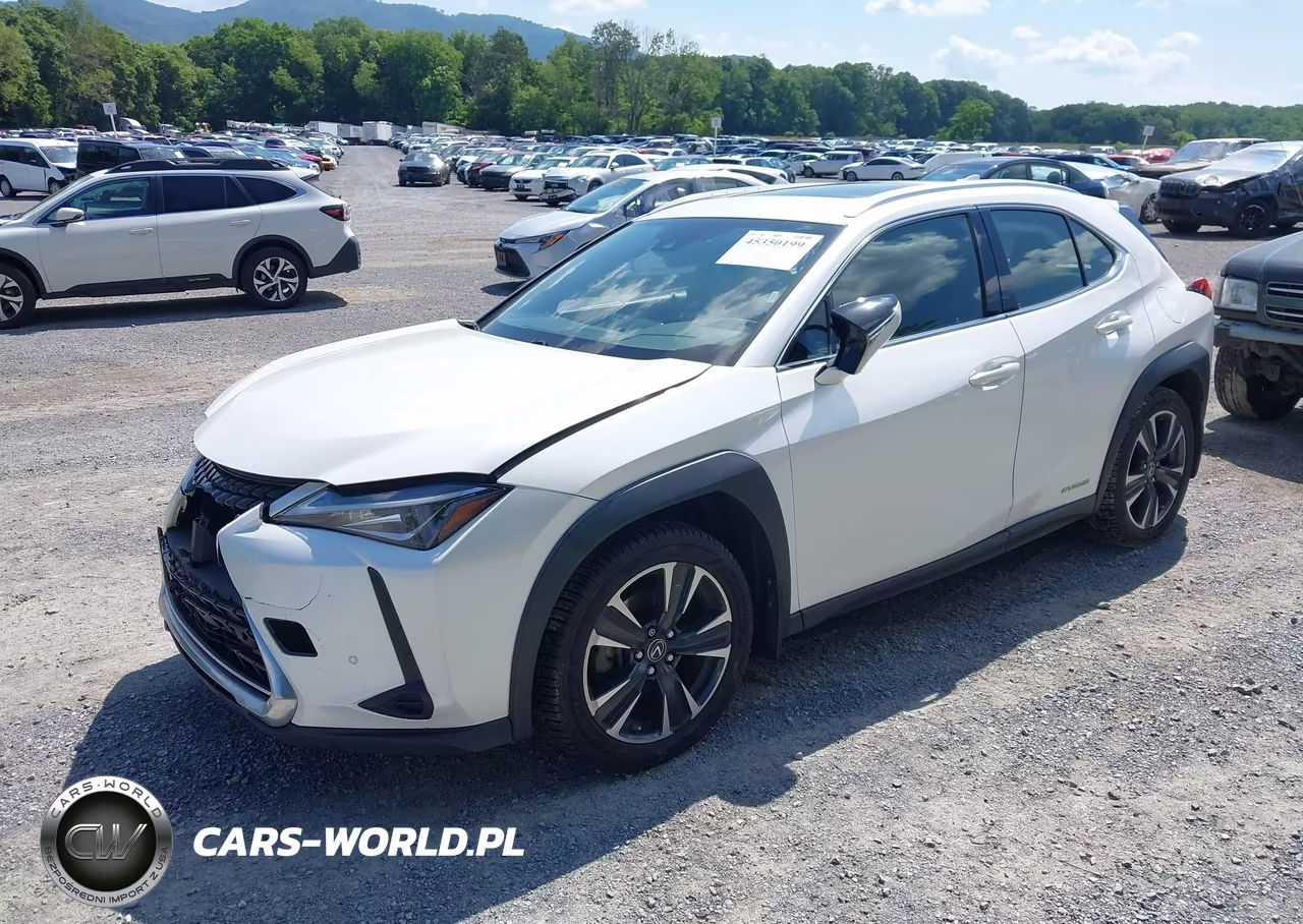 2020 Lexus Ux 250H VIN:JTHP9JBH7L2021402 - 2