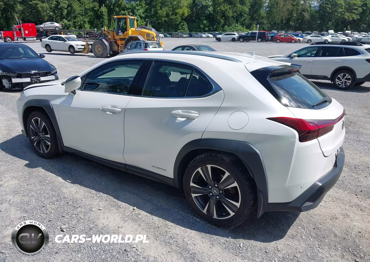 2020 Lexus Ux 250H VIN:JTHP9JBH7L2021402 - 3