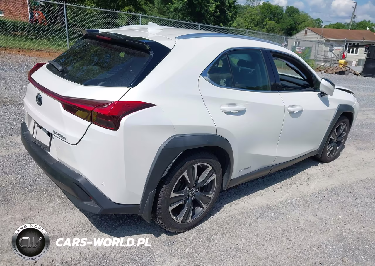 2020 Lexus Ux 250H VIN:JTHP9JBH7L2021402 - 4
