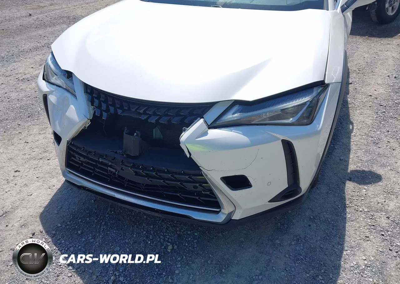 2020 Lexus Ux 250H VIN:JTHP9JBH7L2021402 - 6