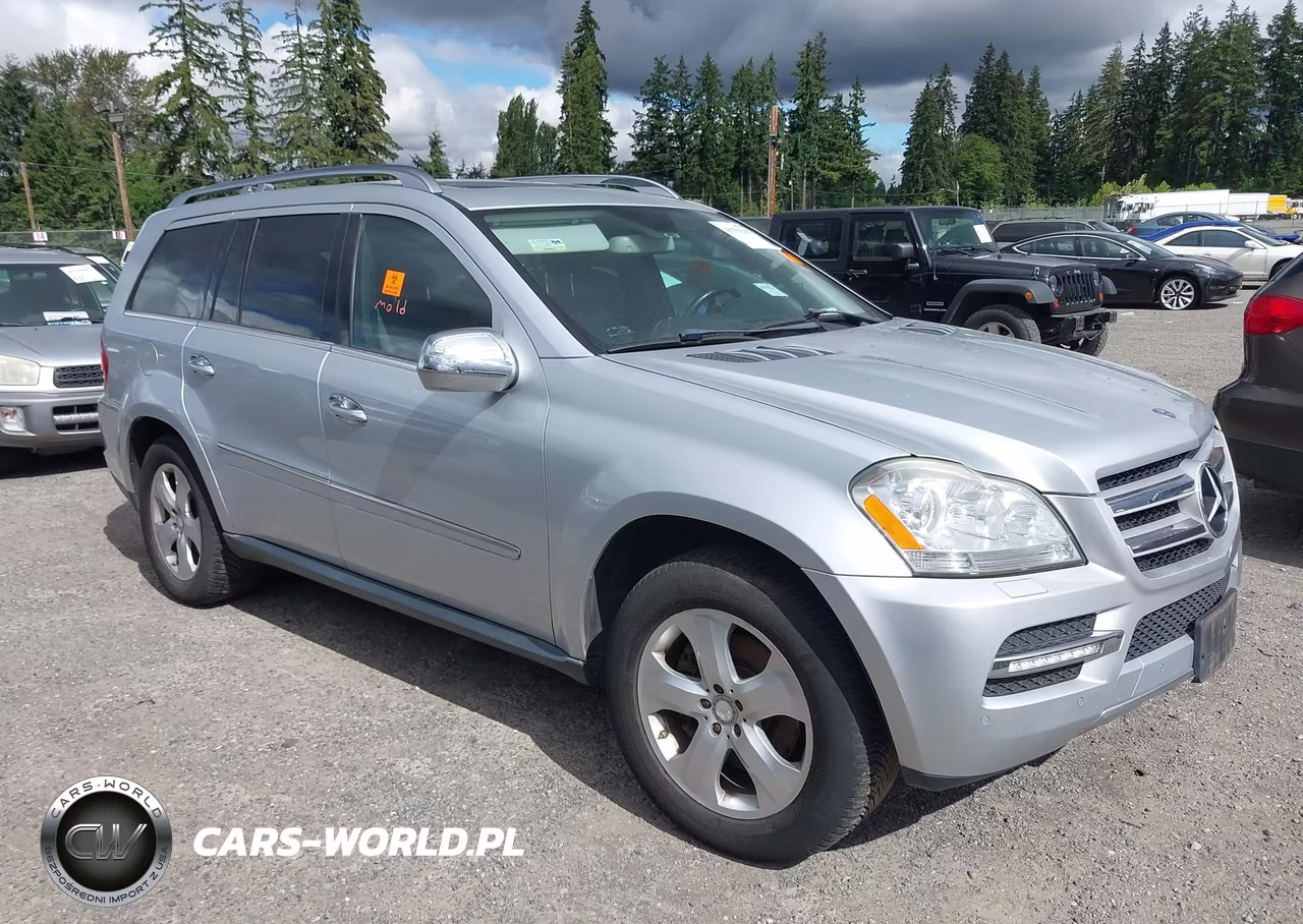 2010 Mercedes-Benz Gl 450 4Matic