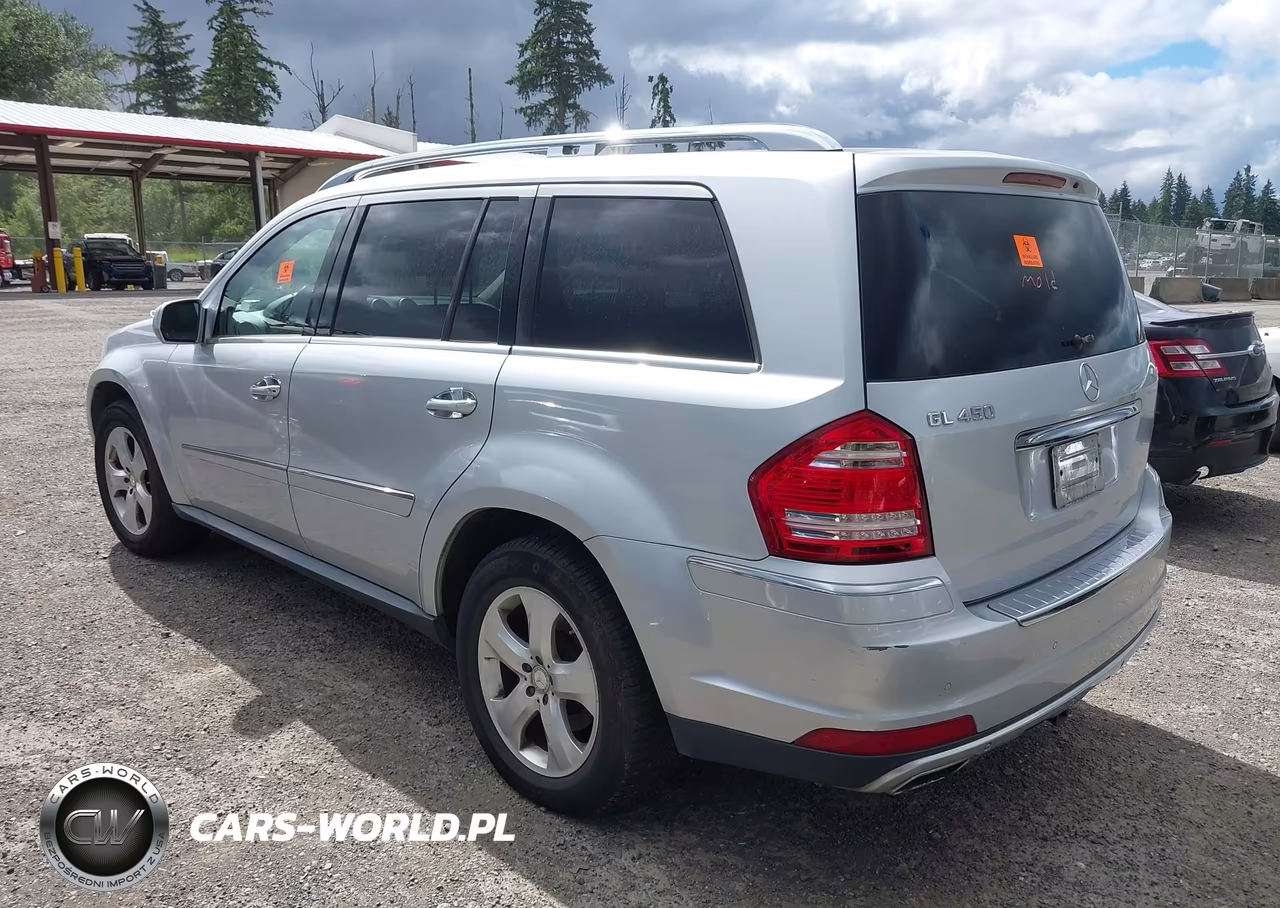 2010 Mercedes-Benz Gl 450 4Matic VIN:4JGBF7BE2AA592422 - 3