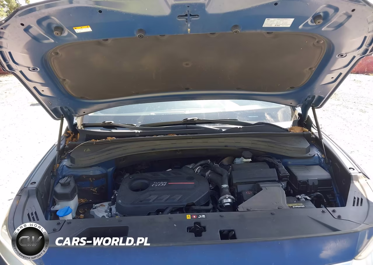 2019 Hyundai Santa Fe Limited 2.0T VIN:5NMS53AA9KH118375 - 10