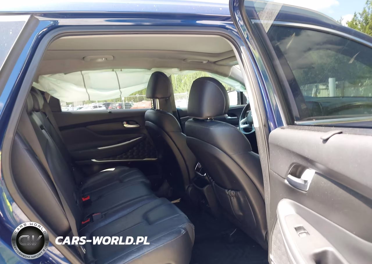 2019 Hyundai Santa Fe Limited 2.0T VIN:5NMS53AA9KH118375 - 8