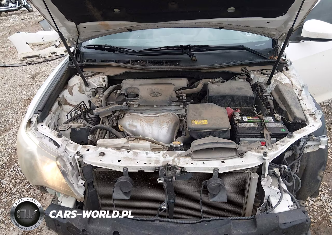 2013 Toyota Camry Se VIN:4T1BF1FK6DU665193 - 10