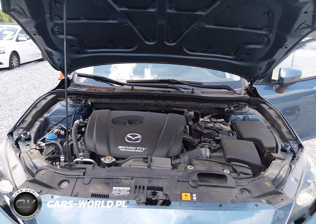 2016 Mazda Mazda3 I Sport VIN:JM1BM1T74G1304674 - 10