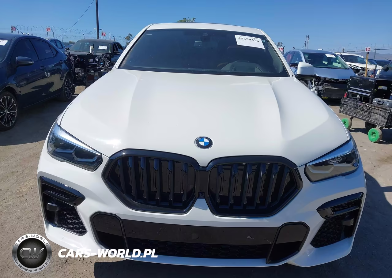 2023 BMW X6 xDrive40I VIN:5UXCY6C03P9R26675 - 12