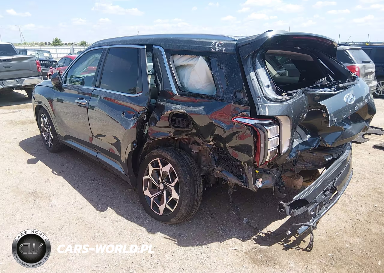 2022 Hyundai Palisade Calligraphy VIN:KM8R7DHE7NU443705 - 3
