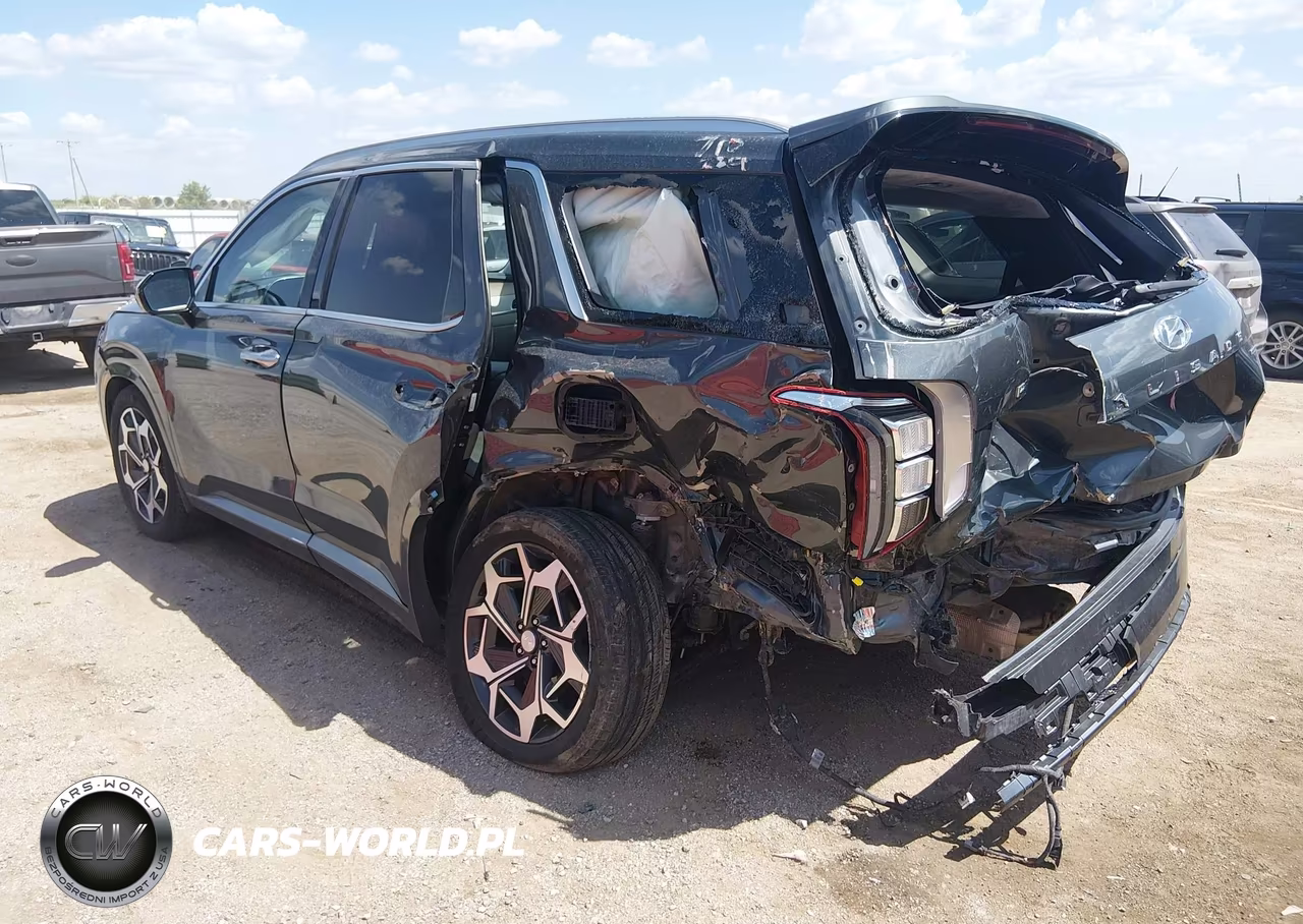 2022 Hyundai Palisade Calligraphy VIN:KM8R7DHE7NU443705 - 6