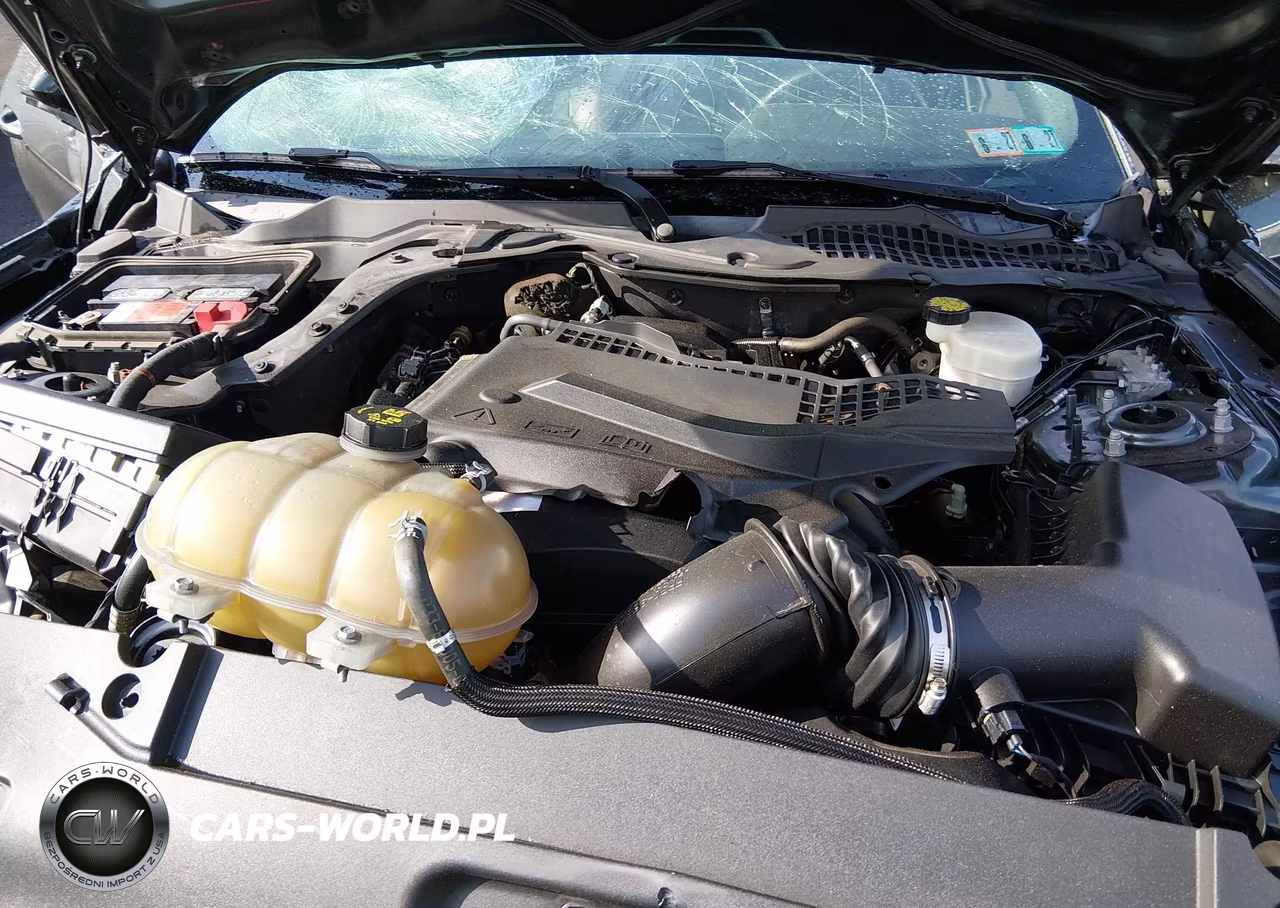 2015 Ford Mustang Ecoboost VIN:1FA6P8TH1F5394406 - 10