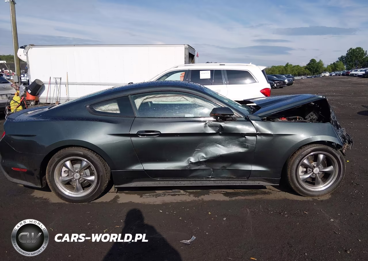 2015 Ford Mustang Ecoboost VIN:1FA6P8TH1F5394406 - 12