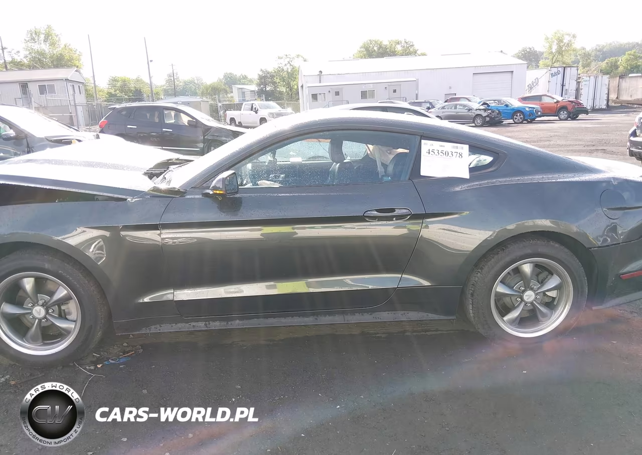 2015 Ford Mustang Ecoboost VIN:1FA6P8TH1F5394406 - 13