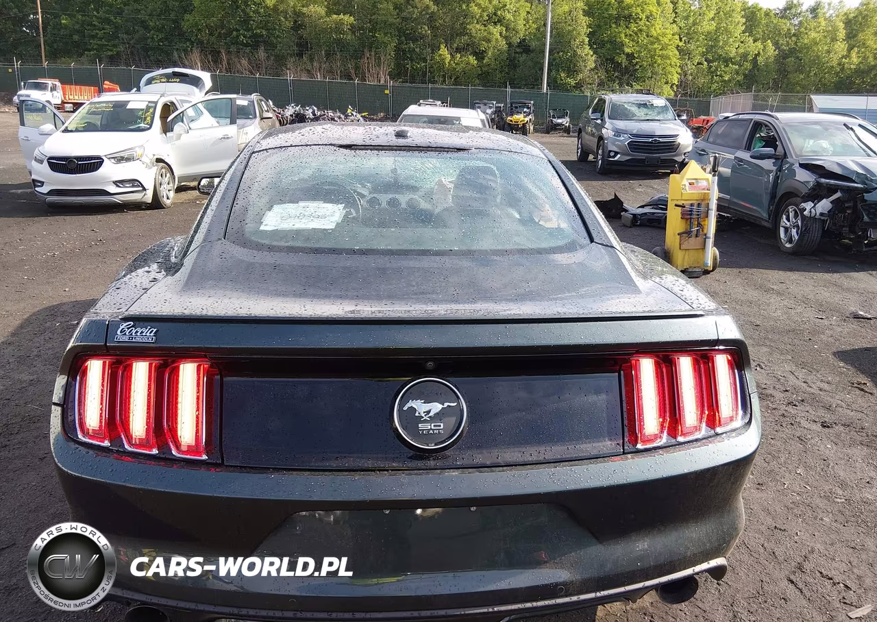 2015 Ford Mustang Ecoboost VIN:1FA6P8TH1F5394406 - 15