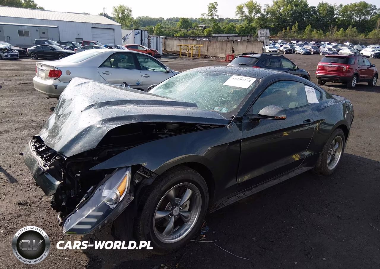 2015 Ford Mustang Ecoboost VIN:1FA6P8TH1F5394406 - 2