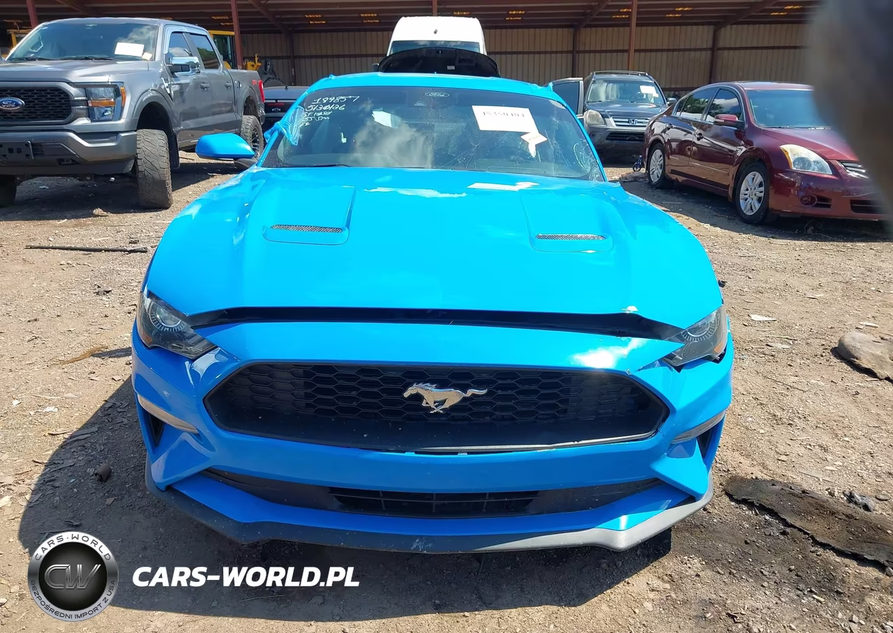2022 Ford Mustang Ecoboost Fastback VIN:1FA6P8TH7N5129827 - 12