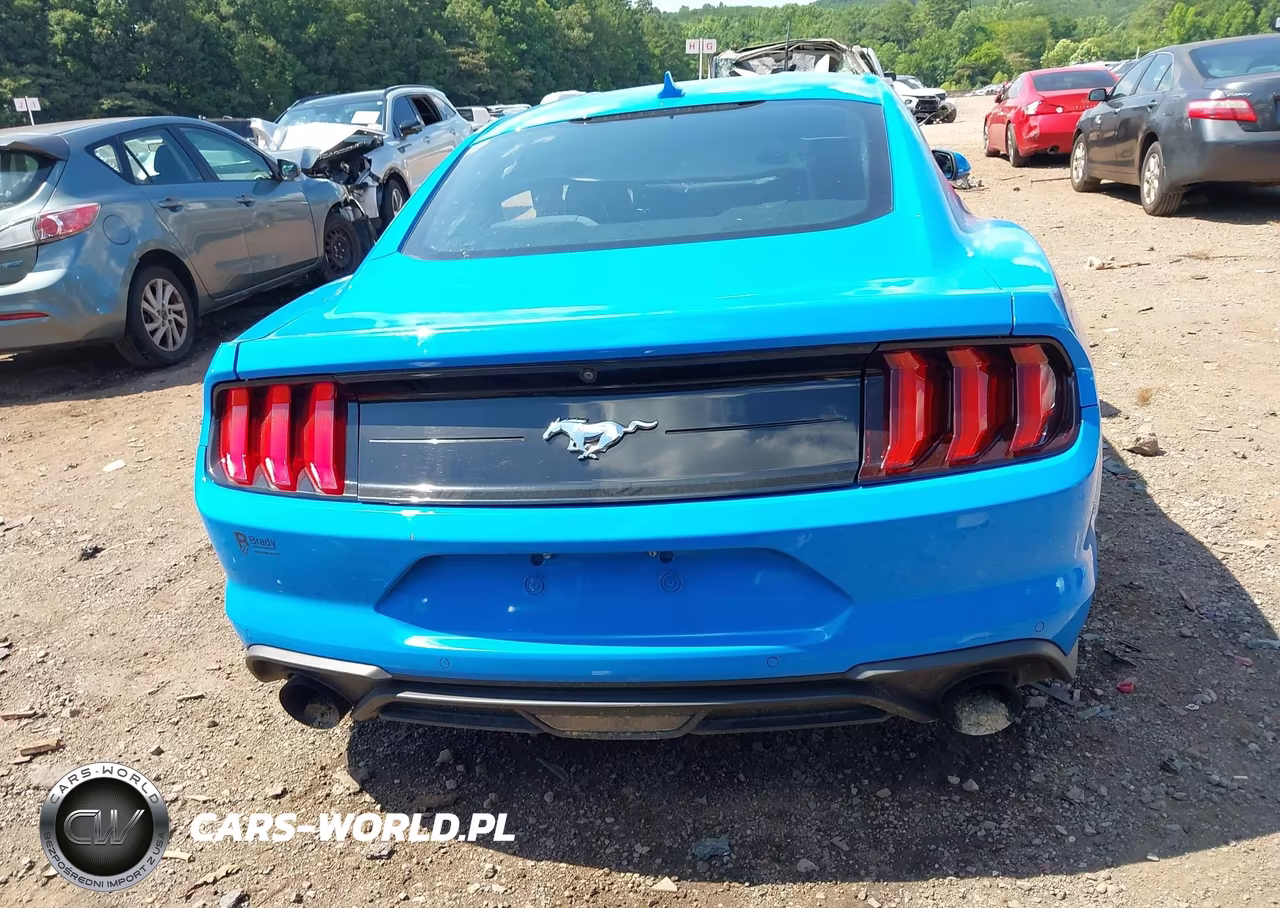 2022 Ford Mustang Ecoboost Fastback VIN:1FA6P8TH7N5129827 - 16