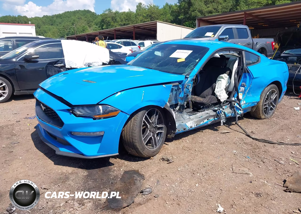 2022 Ford Mustang Ecoboost Fastback VIN:1FA6P8TH7N5129827 - 2