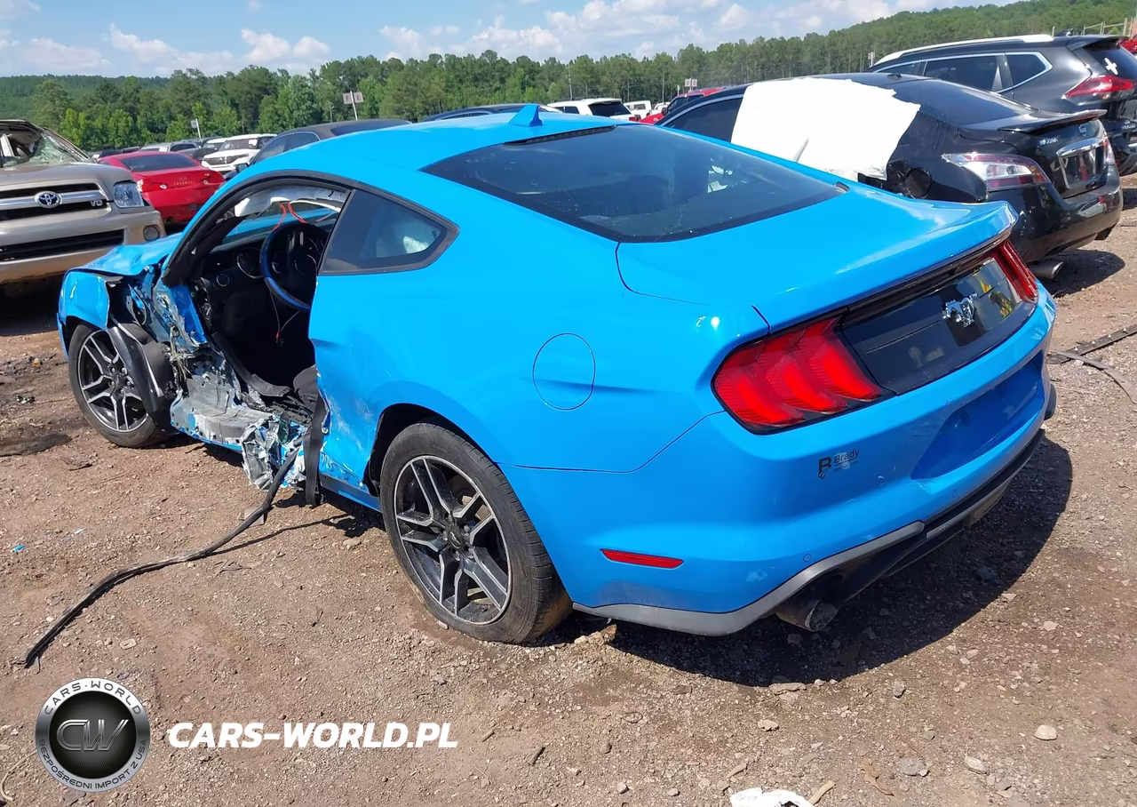 2022 Ford Mustang Ecoboost Fastback VIN:1FA6P8TH7N5129827 - 3