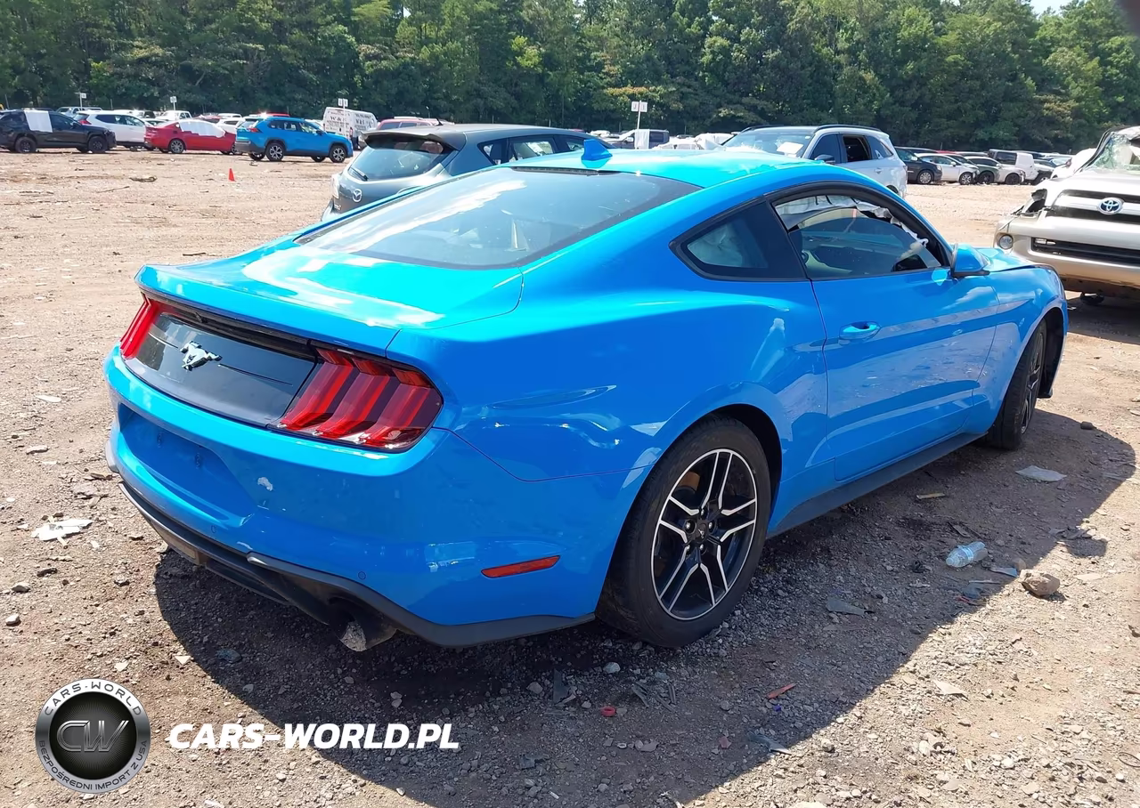 2022 Ford Mustang Ecoboost Fastback VIN:1FA6P8TH7N5129827 - 4