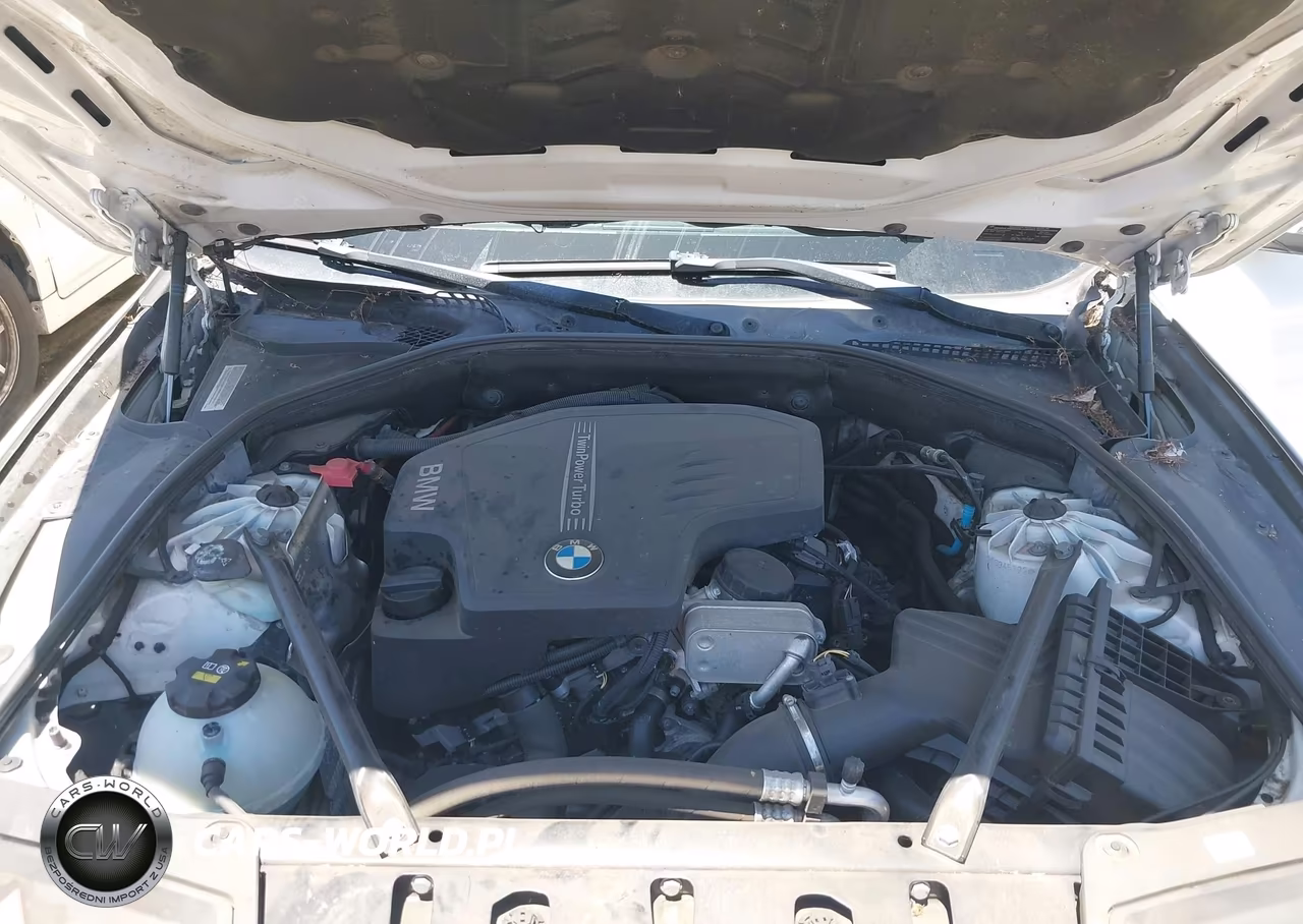 2015 BMW 528I VIN:WBA5A5C51FD523114 - 10