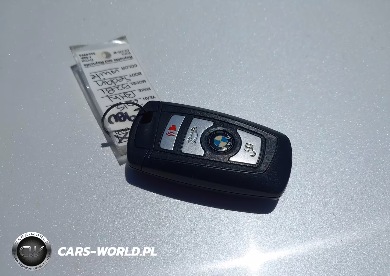 2015 BMW 528I VIN:WBA5A5C51FD523114 - 11