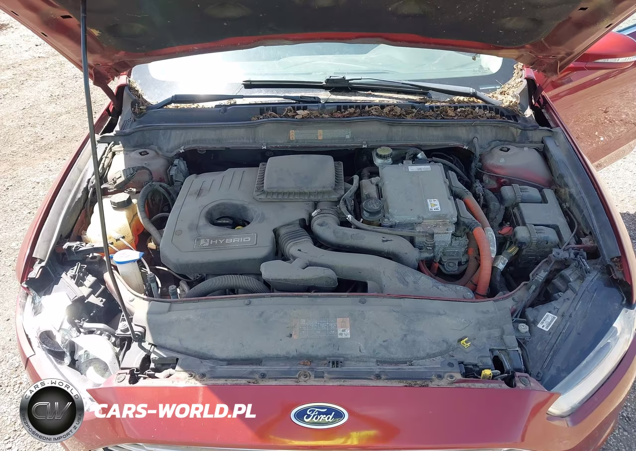 2014 Ford Fusion Hybrid Se VIN:3FA6P0LU3ER253007 - 10