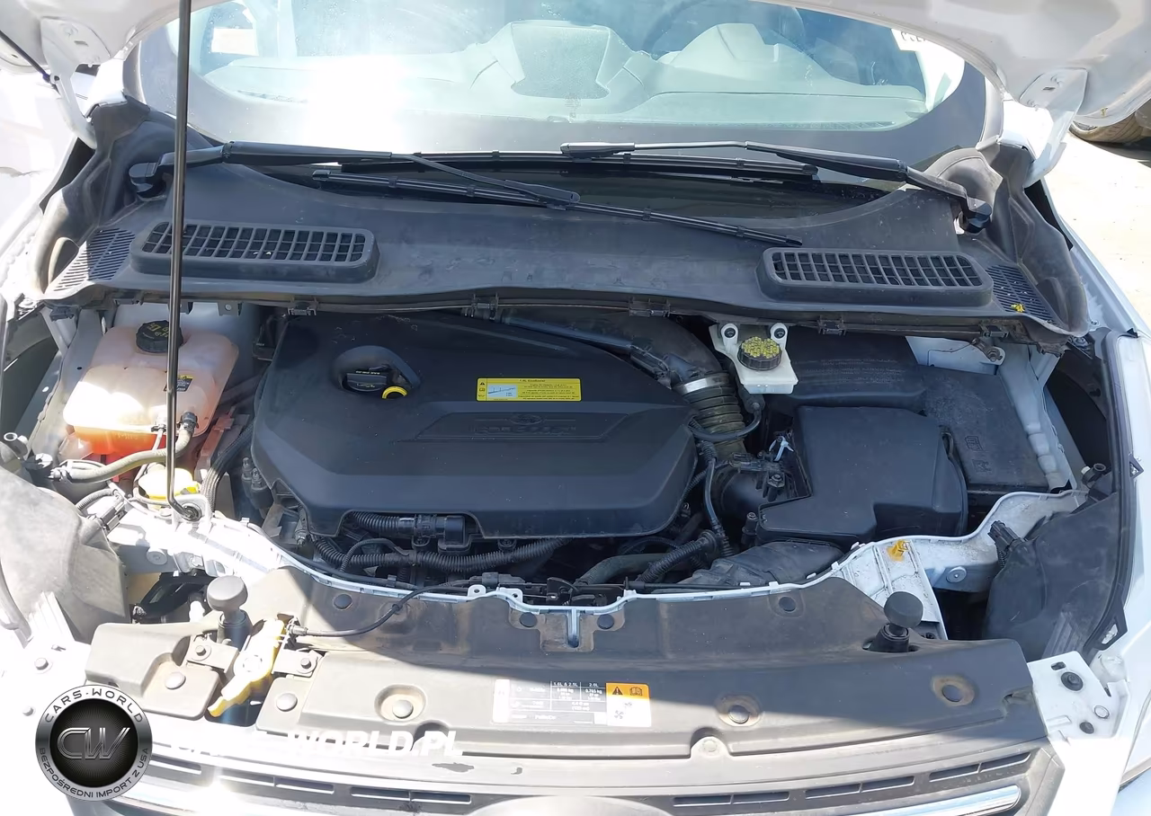 2013 Ford Escape Se VIN:1FMCU0GX6DUA40551 - 10