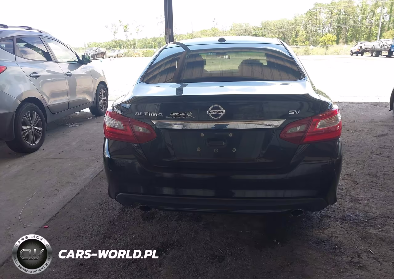 2018 Nissan Altima 2.5 Sv VIN:1N4AL3AP8JC169651 - 17