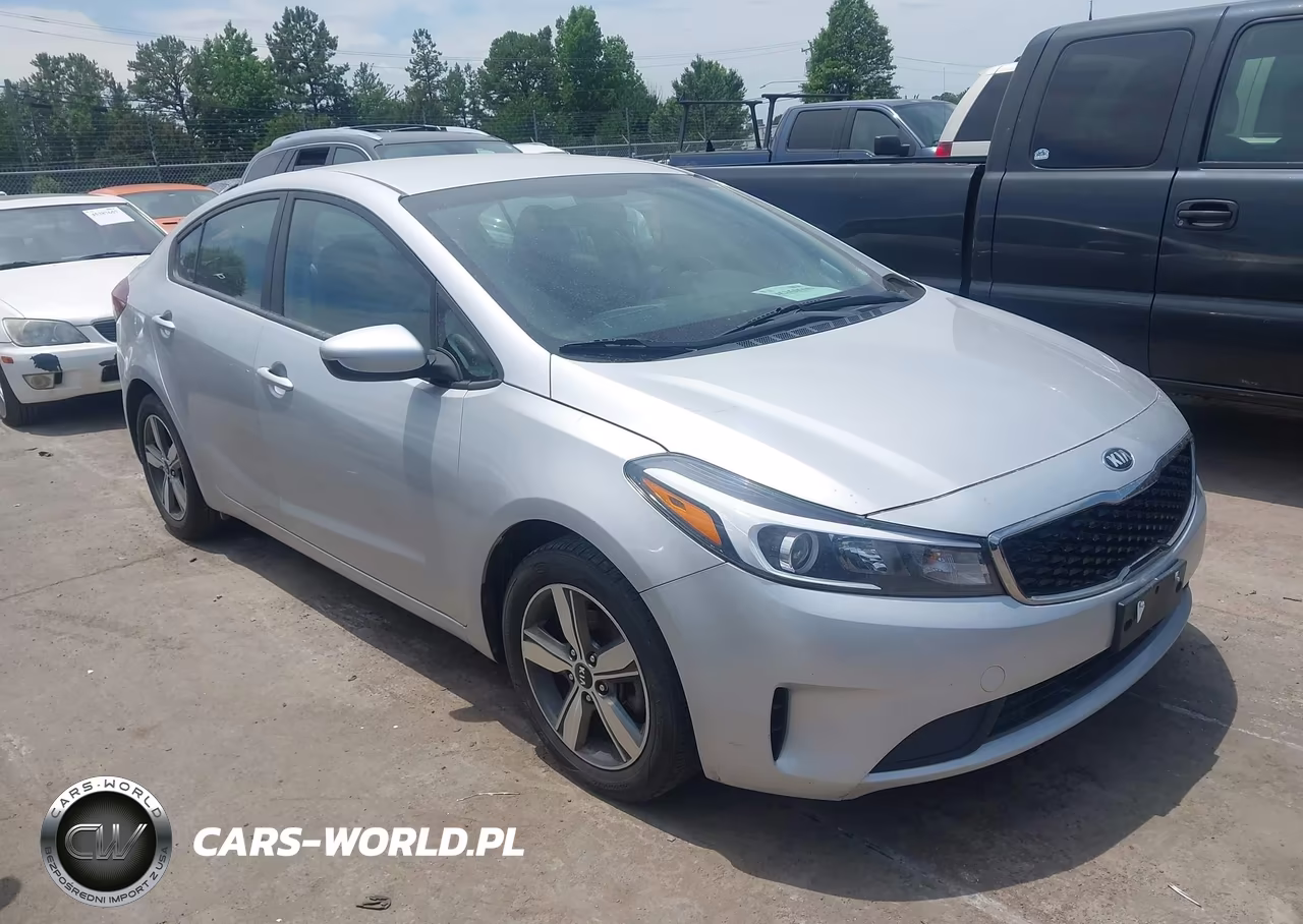 2018 Kia Forte Lx VIN:3KPFL4A78JE169888 - 13