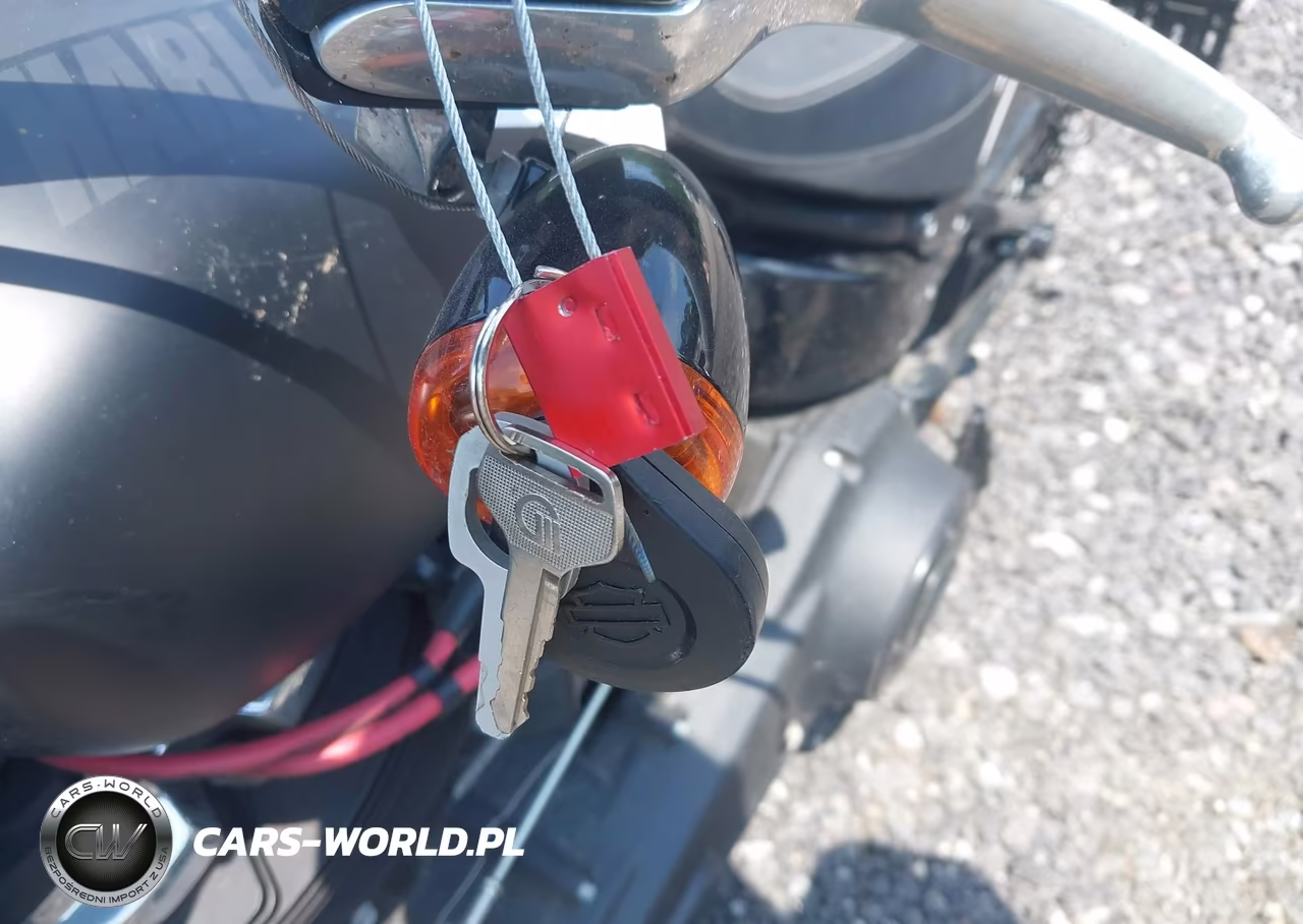 2018 Harley-Davidson Fxfbs Fat Bob 114 VIN:1HD1YLK1XJC066199 - 11