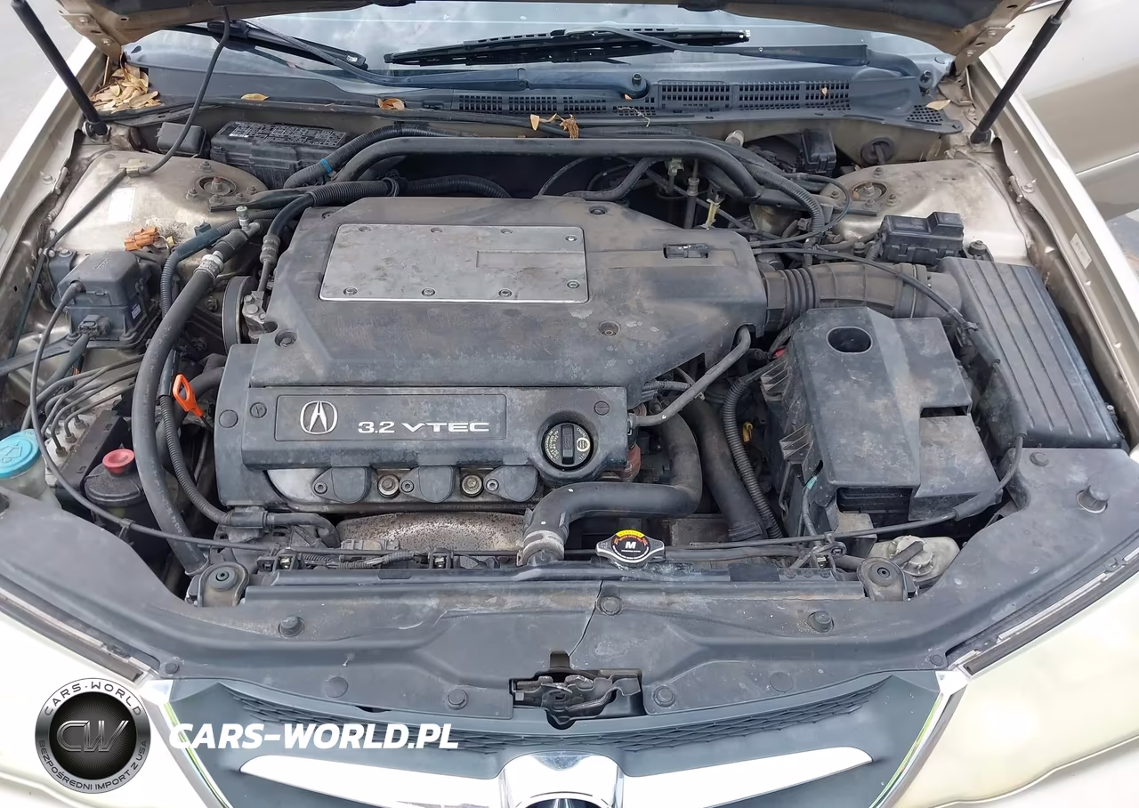 2003 Acura Tl 3.2 VIN:19UUA56663A092920 - 10