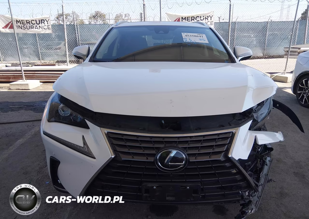 2021 Lexus Nx 300 VIN:JTJGARBZ5M5022948 - 12