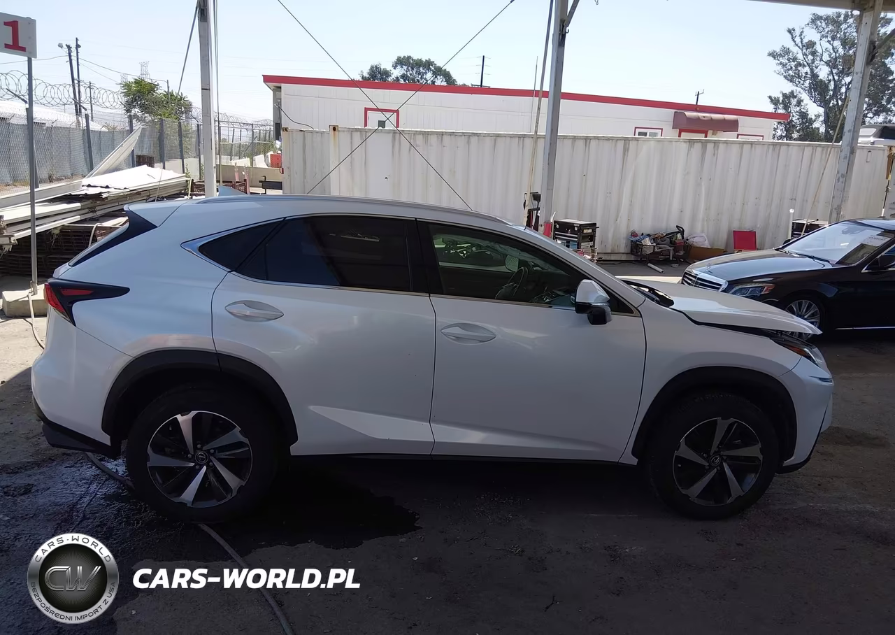 2021 Lexus Nx 300 VIN:JTJGARBZ5M5022948 - 13